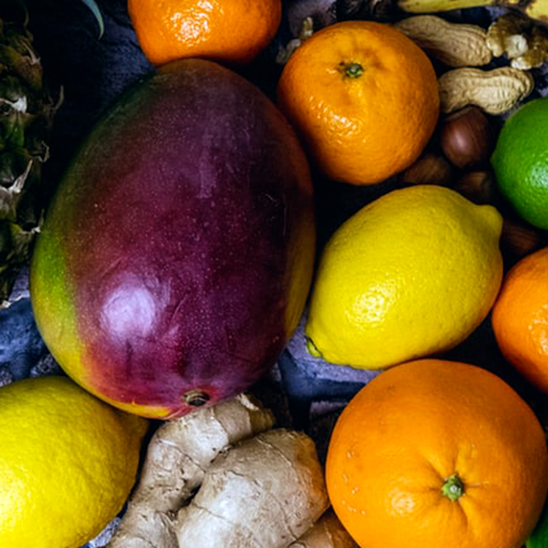 Culture de fruits exotiques en bretagne - finistère sud à plomeur (29) Ty Tropik