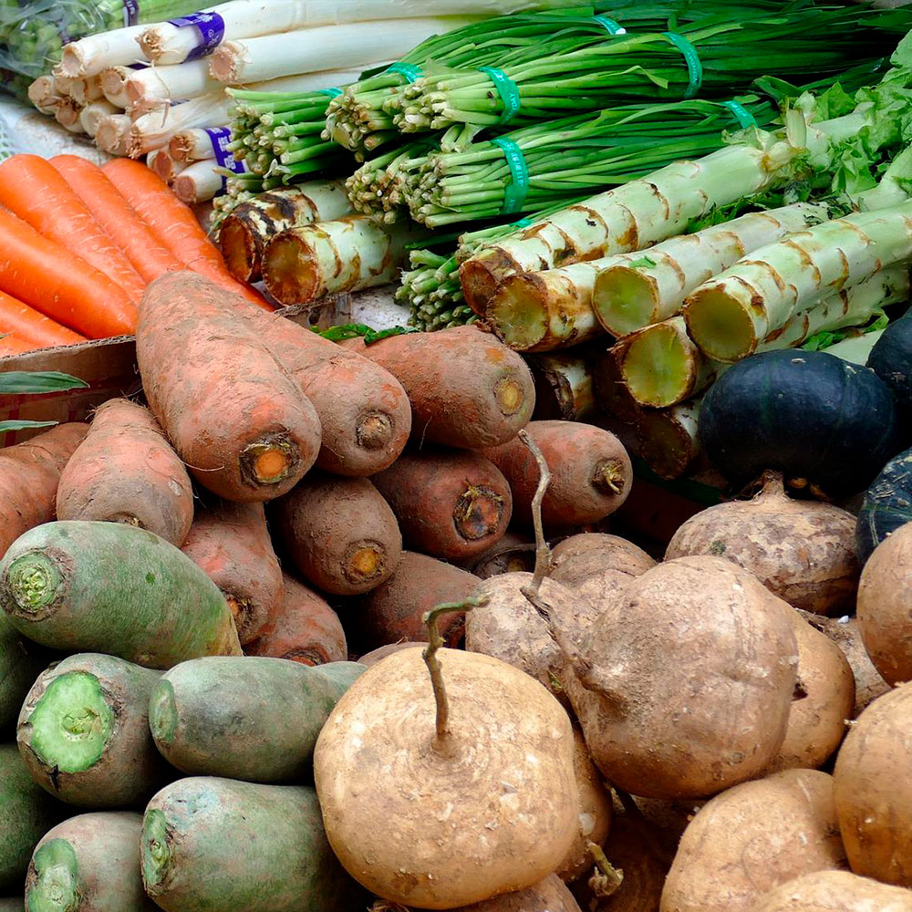 Culture de légumes rustiques en bretagne - finistère sud à plomeur (29) Ty Tropik